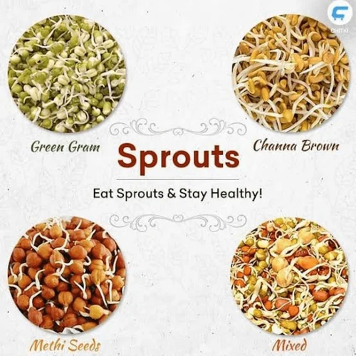 Organic Mix Sprouts