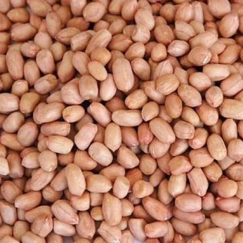 Type: Whole Groundnut Kernels Peanuts