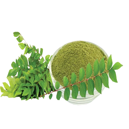 Curry Leaves Powder, Packaging Size: 25kg