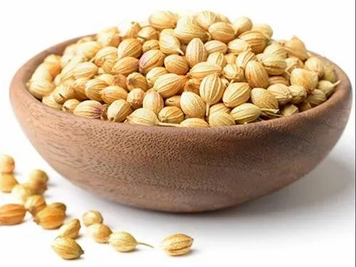 Fresh Coriander Seeds