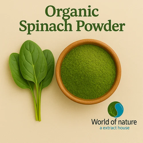 Organic Spinach Powder, Packaging Size: 25 Kg