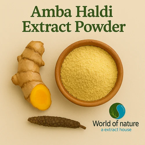 Amba Haldi Extract Powder, 25 kg
