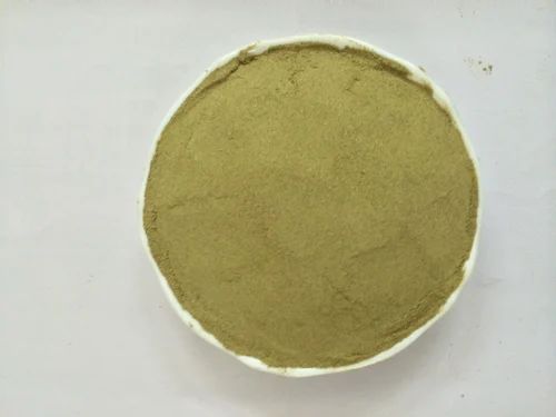 Green Dehydrated Coriander Leaves Powder, Packaging Type: HDPE BAG, Packaging Size: 20 Kg