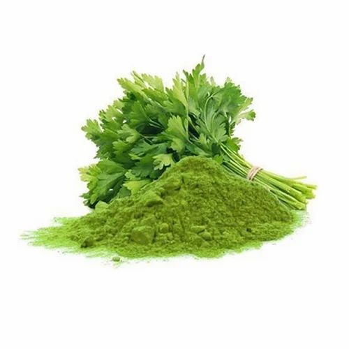 Bulk Spicy Green Coriander Leaf Powder, Packaging Size: 1 kg To 25kg, Packaging Type: Bag