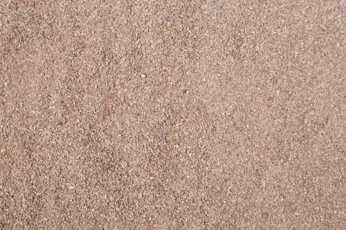 Organic Ginger TBC (Tea Bag Cut) - 25 kg
