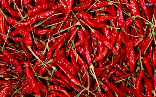Sannam Organic Dry Chilly, Gunny Bag, 25 Kg
