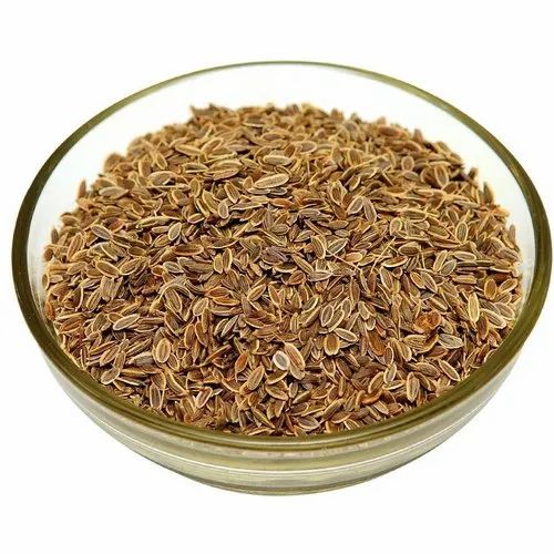 Sathakuppai Dill Seed / Sadapa Vittulu / Chathakuppa / Pencedanum Grande