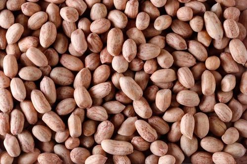 Raw Peanut, 50 Kg