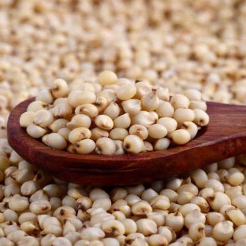 Sorghum White Jawar, Gluten Free, 50 Kg