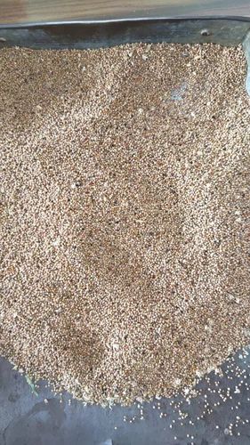 Ragi