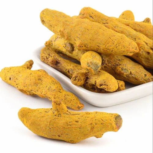 Dried Turmeric Finger