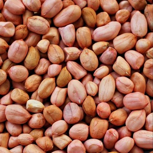 Bold Groundnut Seed, 50 Kg