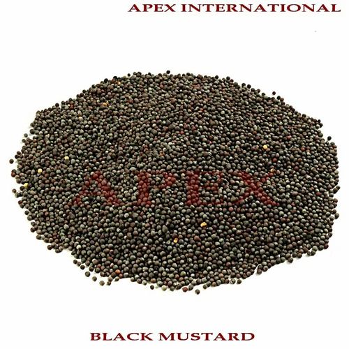 Black Mustard Seeds, 25 Kg