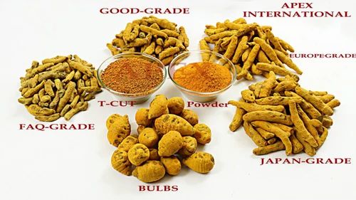 Dried Turmeric Finger
