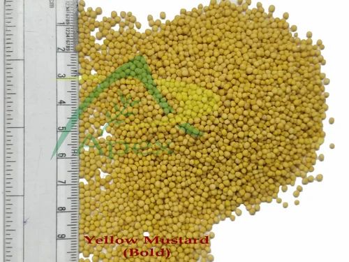 Mustard Seeds Yellow, 25 Kg