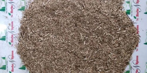 Ajwain Bhusi - Trachyspermum Ammi - Ajowan - Bishops Weed - Carom Seeds - Husk Sticks Of Ajwain