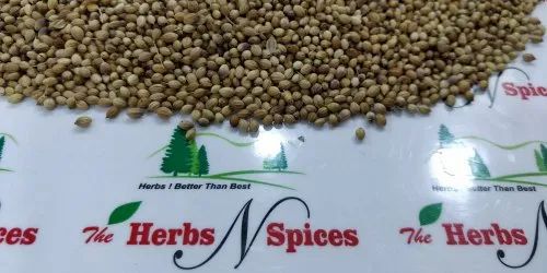 Organic Coriander Seed, 25 Kg