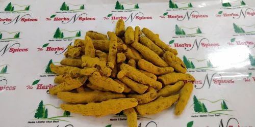 Raw Turmeric Finger