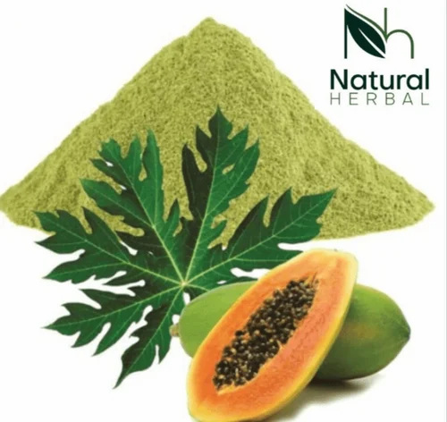 Dried Papaya Leaves Powder