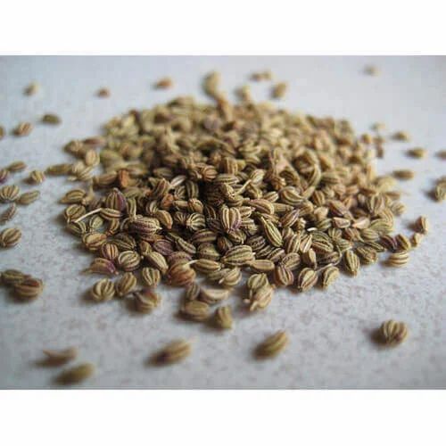 Anethum Sowa - Suva Extract, A Grade, Whole