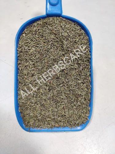 Thymus vulgaris Thyme Dried Herbs, Packaging Type: PP Bag, Packaging Size: 25kg