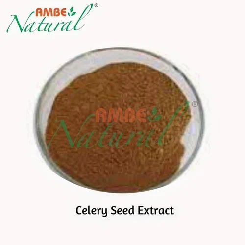 Celery Seed Extract, Packaging Type: HDPE drum