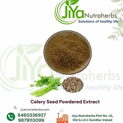 Jiya Celery Seed Powdered Extract, Packaging Type: Packet, Packaging Size: 1 Kg