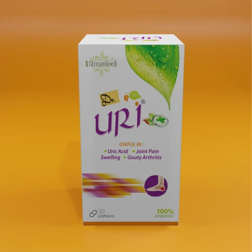 Knee Joint Arthritis Capsule