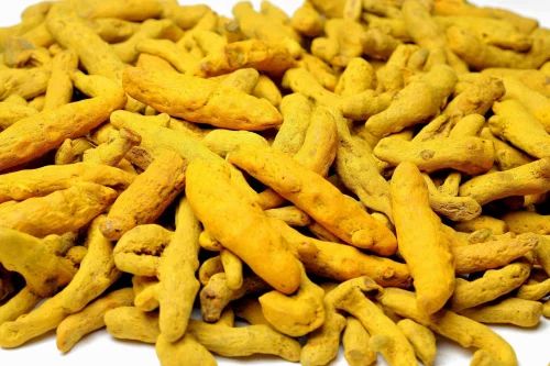 20 Kg Finger Turmeric