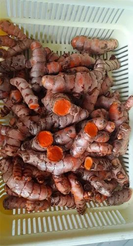Lakadong Turmeric Raw Finger