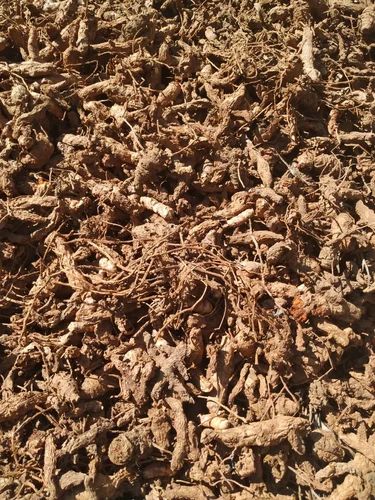 Dry turmeric panangali root, Packaging Size: 50 Kg