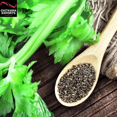 Natural Celery Seeds, Packaging Size: 25 kg