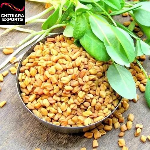 Natural Fenugreek Seed, Packaging Type: PP Bag, Packaging Size: 25 kg