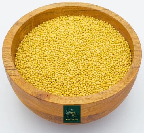 Yellow Mustard Seeds, Medium
