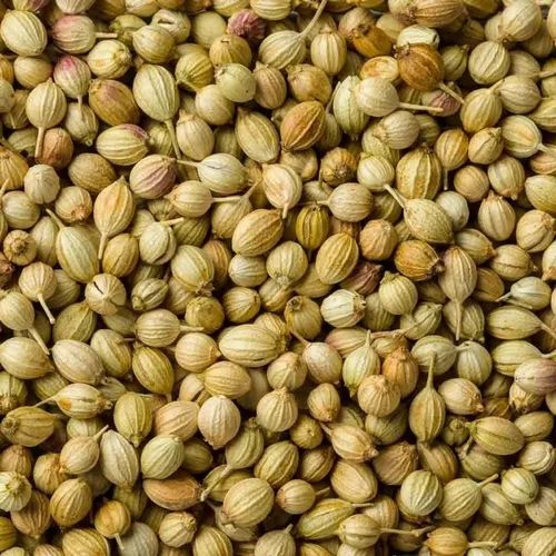Priya Brown Coriander Seed, Packaging Type: Gunny Bag