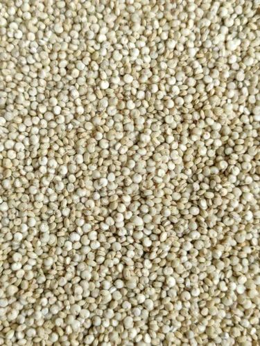 Barnyard Millet Seed, Packaging Size: 25 kg, Unpolished
