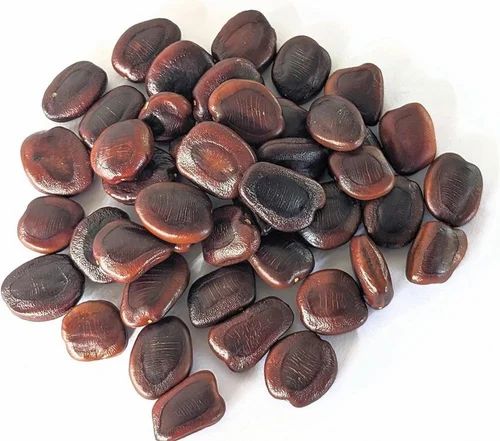 Dried Tamarind Seeds, Packaging Type: Loose