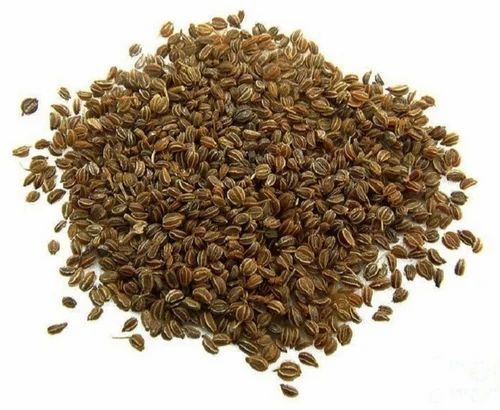 Dried Ajmoda Seeds