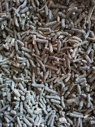 Long Pepper Pippali