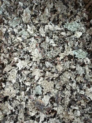 Stone Flower B1 Handpicked Kalpasi (Bulk Ex Factory Rate) - 7kg Cartoon