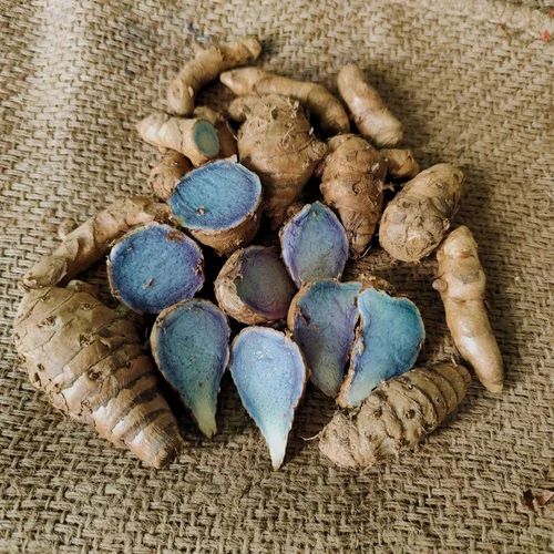 Black Turmeric Finger