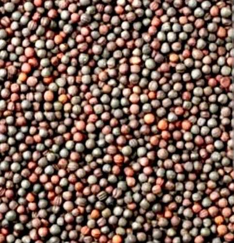 Guchhewali Sarson ( Mustard Seed), 1 kg