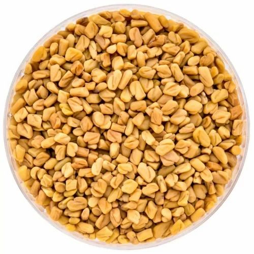 Fenugreek Seeds Methi Dana