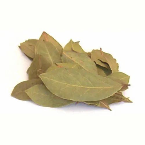 10 Kg Fresh Bay Leaves