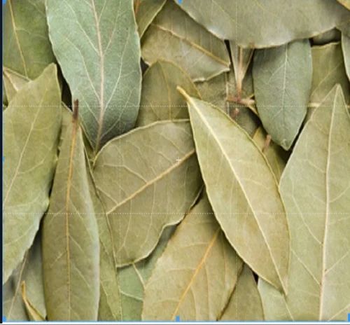 Bay Leaves