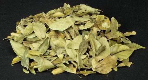 A Grade Sun Dry Dried Curry Leaf, Packaging Size: 10 Kg, 10000