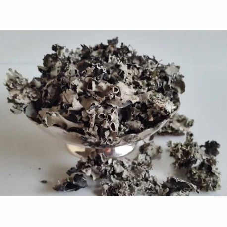 Black & Skin Stone Flower (Stone Flower), Packaging Type: PP Bags, Packaging Size: 50 KG