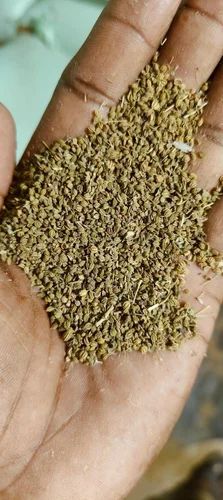 Ajwain