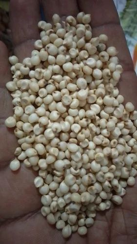 30Kg White Sorghum Grain, Organic