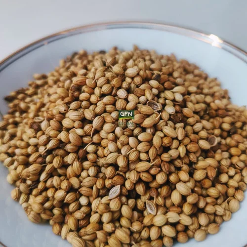 Coriander Seeds Dhaniya